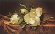 Martin Johnson Heade Magnolia oil